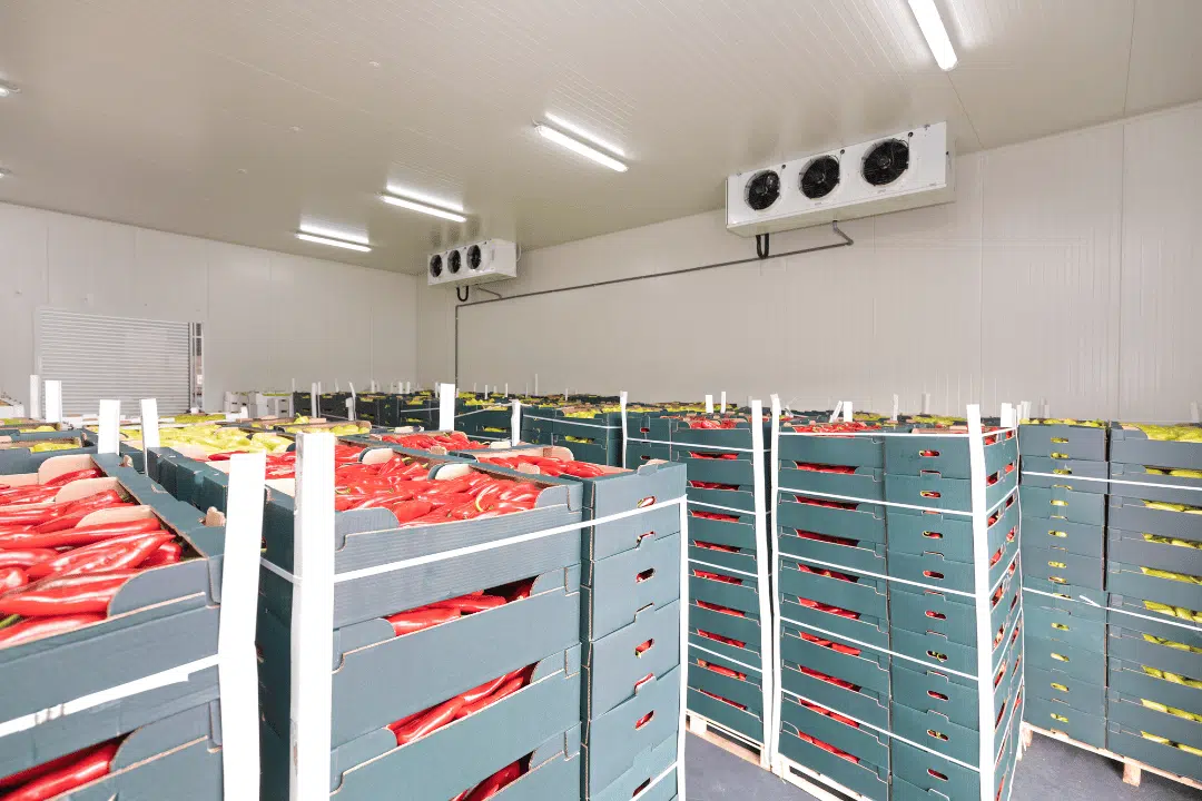 proper cold storage practices to prevent spoilage